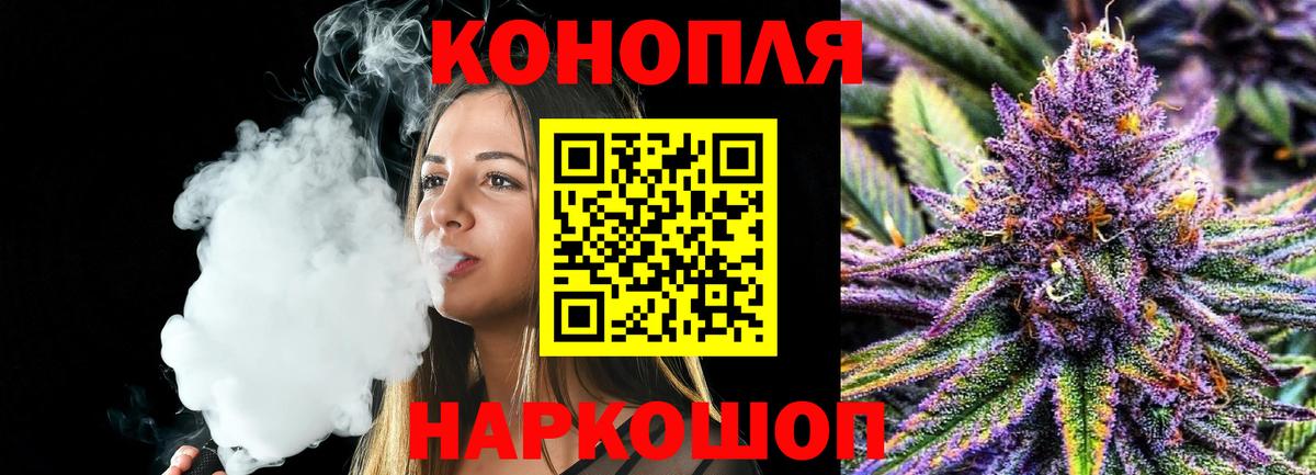 Каннабис план  Бошки Шишки семена  Бошки Шишки White Widow  Североморск  Бошки Шишки сатива 