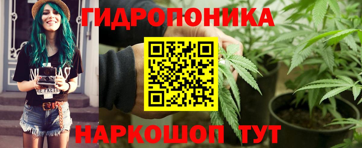 Каннабис Bruce Banner Североморск